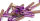 Titan Schraube M6 x 40 konisch DIN 912 Grade 5 purple