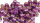 Titan Schraube M6 x 8 konisch DIN 912 Grade 5 purple