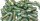 Titan Schraube M6 x 16 konisch DIN 912 Grade 5 grün