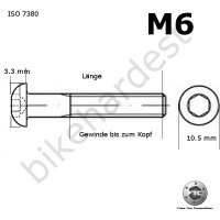 Titan Schraube M6 x 8 - 35 Linsenkopf ISO 7380 Grade 5